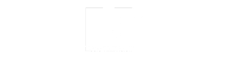 MTV Music Television logo